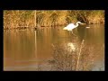Couleurs d'automne en Camargue