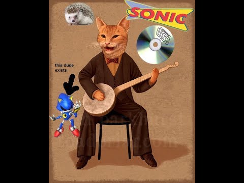 動画