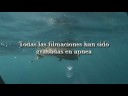 Pesca Submarina en el Estrecho vol2