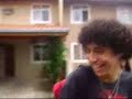 buffalos.html