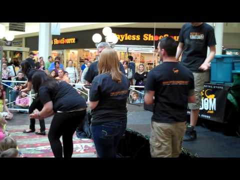 how to properly hold a ball python