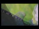 Aura - Moving-Image work by Rinat Harel