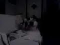 1204081851.3gp