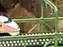 東武ワールドスクウェアpart6 (200807201101.3gp) - Fri Jul 25 05:24:37 2008