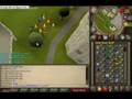Hinked Pink gets 93 Woodcutting!