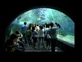 Manila Ocean Park Manila Ocean Park