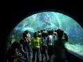 Manila Ocean Park