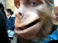 mono-humano-human-ap