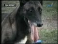 Spratly K9 TV Feature \"Emergency\"