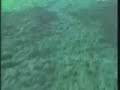 Abertura de Fantástico