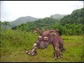 Spore, Borak and Barok Episode1 - It\