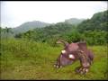 Spore, Borak and Barok Episode1 - It's On!