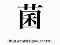 特に感慨深くもない字源入門〜第一回