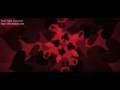 007 - Casino Royale (Gunbarrel)