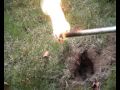 mole bangers! explosion surprise