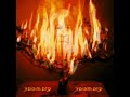 Actual Video of THE Burning Bush!