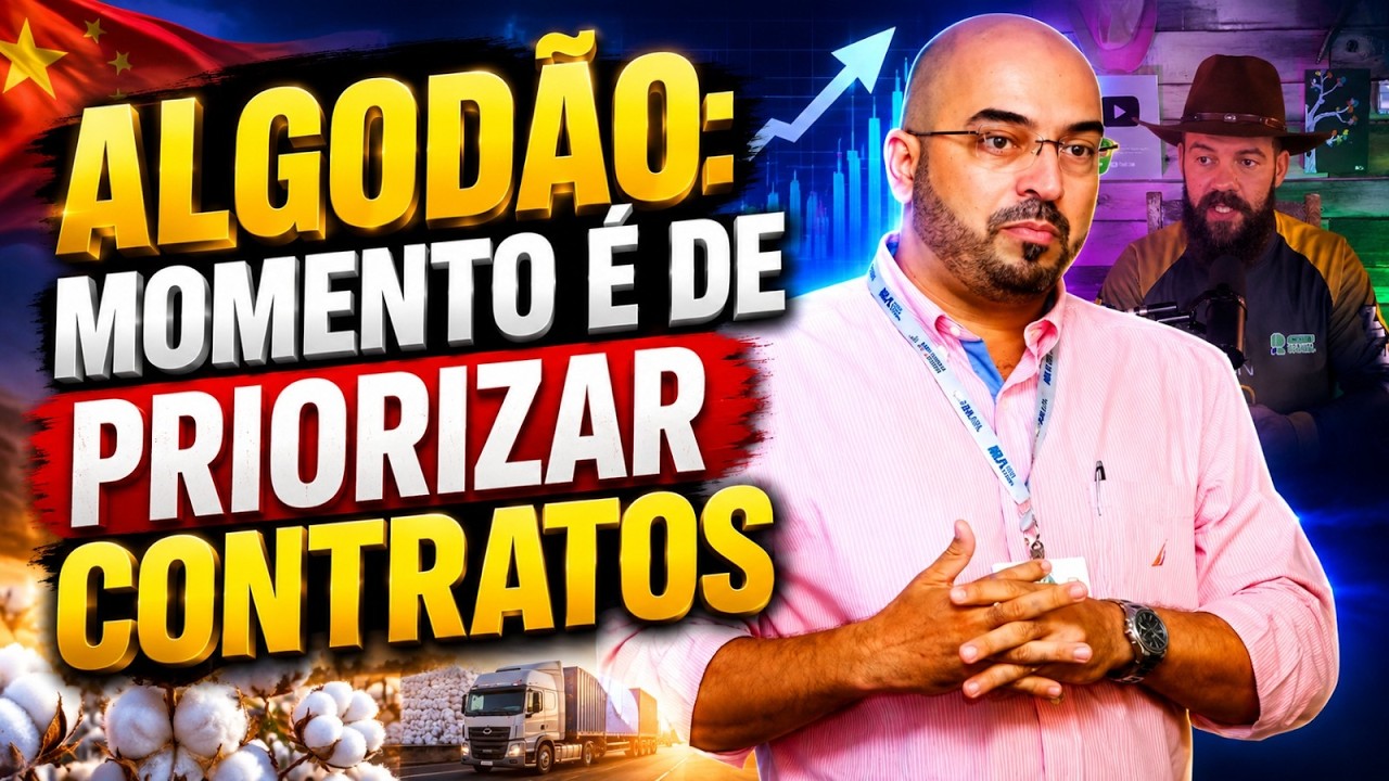 Algodão: Momento é de priorizar contratos