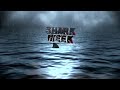 SHARK WEEK PROMO - lil'rooster design