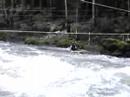 videos kayak