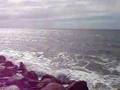 Abbot Point - 28/06/08 - 10AM