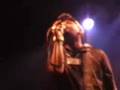 Vibronics feat. M.Parves aka. (The Dub Factory)