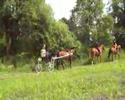 videos de Lits+Lauwers050 It-Leech05