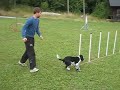 Click here to watch this video Agility med Speja