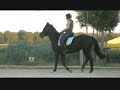 avalon nu 1 maand zadelmak!!