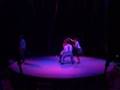 Acrobalance. SEQUINS and SAWDUSTSwinging Daredevils