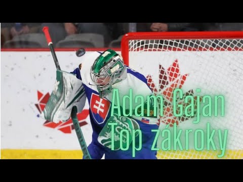 Adam Gajan-Top zákroky MSJ-Zápas proti USA a Lotyšsku
