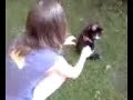 Chatte pincer miaulement Chatte pincer miaulement