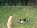 Nicky and Ember