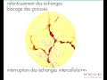 Adieu Cellulite, Bonjour Minceur !