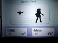How to Catch & Evolve Combee to Vespiquen p2