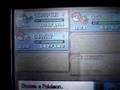 How to Catch & Evolve Combee to Vespiquen p2