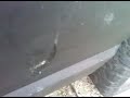 Joey tackling a jeep