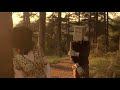 Mystery Skulls - Paralyzed (2012) Mystery Skulls - Paralyzed (2012)