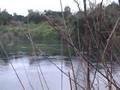 Costanera Río BUeno