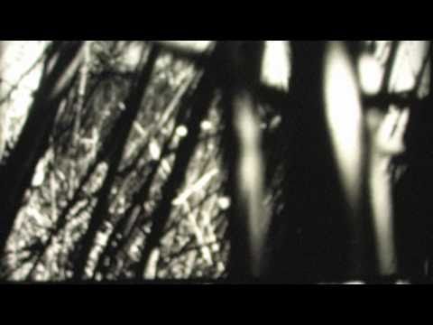 video_img