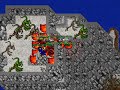 Tibia Dragy and Dragy Lord
