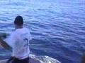 striped marlin fishing bermagui