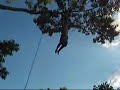Crazy Tree Backflipper
