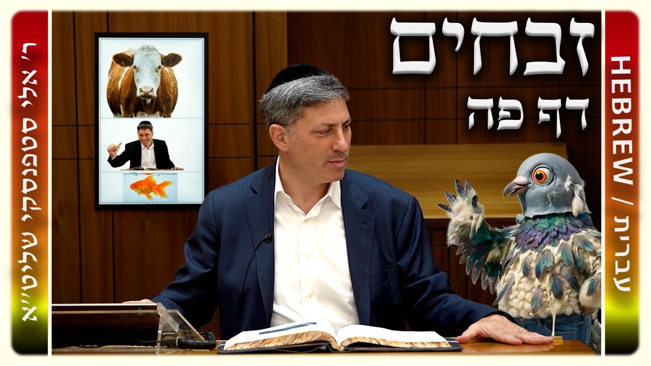 מרכז דף יומי – זבחים דף פה. – ר' אלי סטפנסקי שליט"א