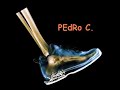 Liga dos Ultimos- Professor Bambo