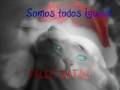 Feliz Natal ANIMAIS.O.S
