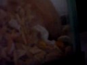 otis-is-retarded.html