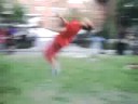 makos back flip pt.1