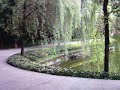 cuiping mountain garden, yibin