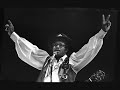 Bo Diddley Rock n' Roll