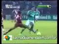 SKOL - Sela��o Brasileira - Palmeiras